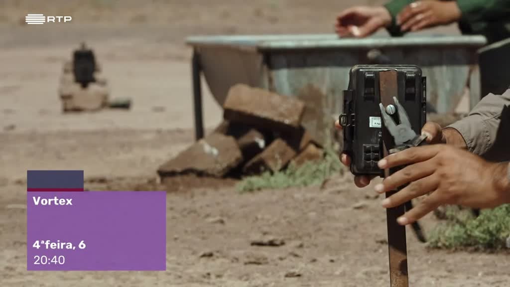 Imagem de Temos Programa