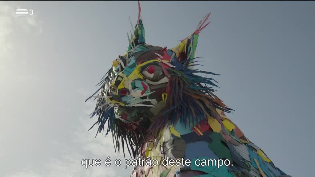 Imagem de A Vida Privada dos Livros