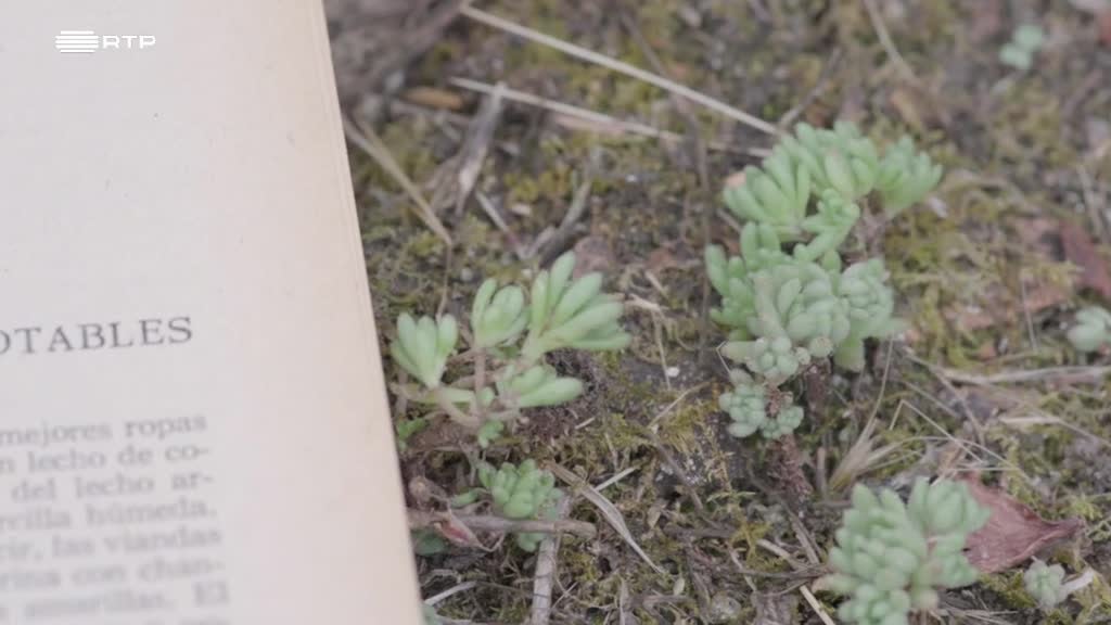 Imagem de A Vida Privada dos Livros