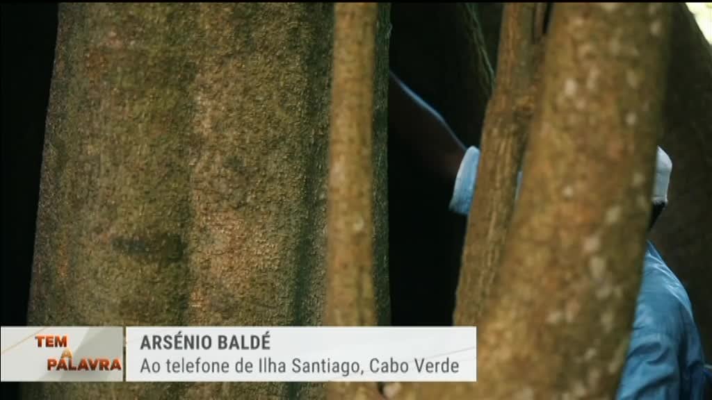 Imagem de Tem a Palavra - Eleições Legislativas e o Futuro da Guiné-Bissau