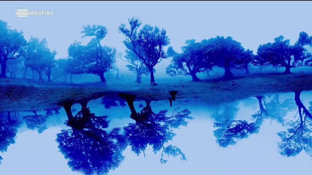 Imagem de Casa das Artes 2024