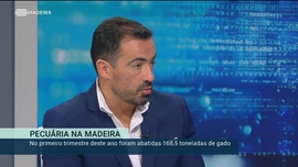 Imagem de Madeira em Nmeros