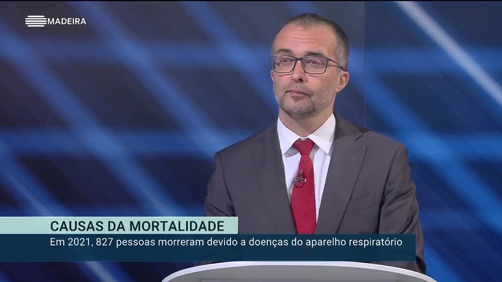 Imagem de Madeira em Números 2024