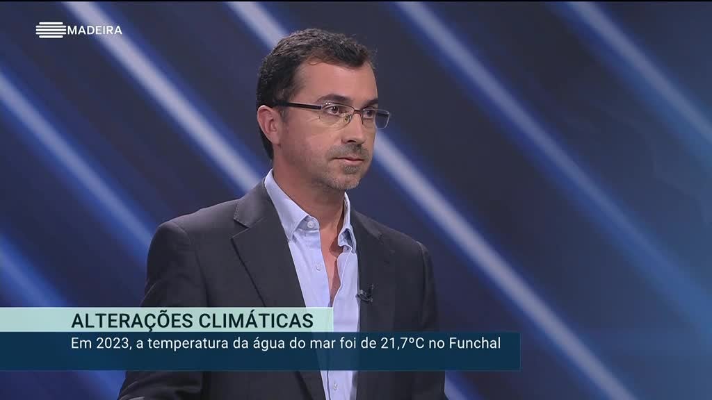 Imagem de Madeira em Números 2024