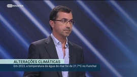 Imagem de Madeira em Nmeros