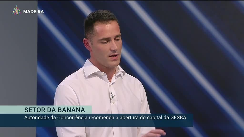 Imagem de Madeira em Números 2024