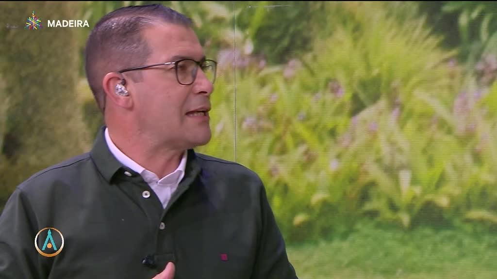 Imagem de Atlântida Madeira