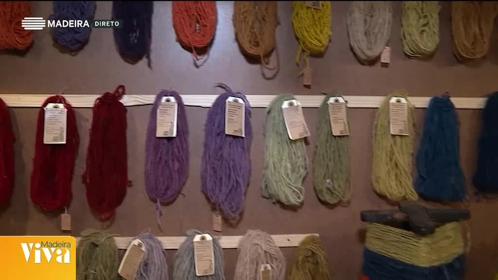 Imagem de Madeira Viva 2024