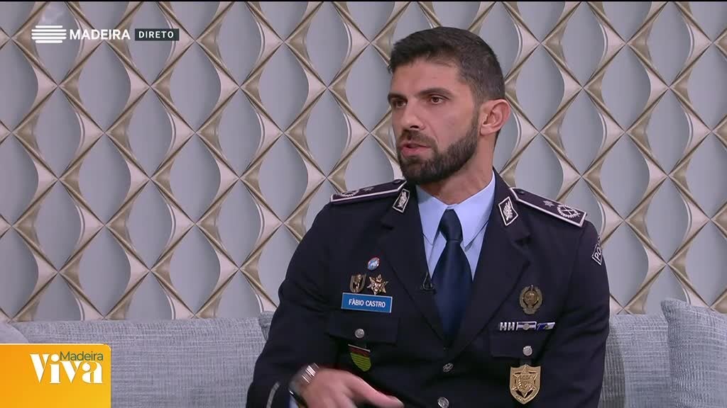 Imagem de Madeira Viva 2024