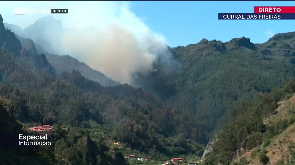 Imagem de Especial Informação 2024 (Madeira)