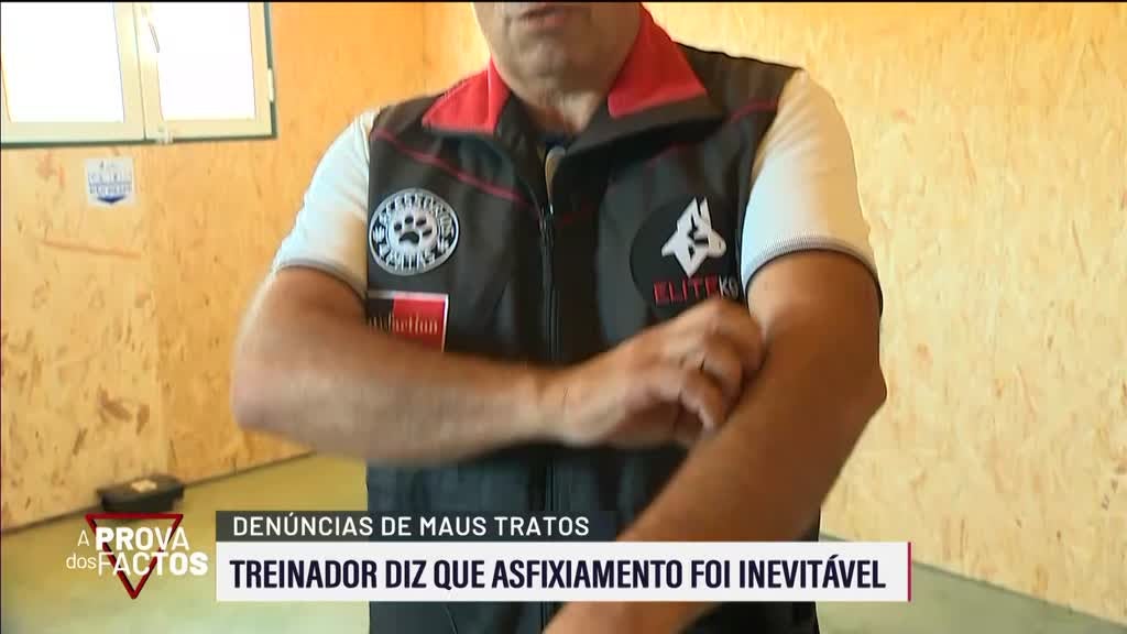 Imagem de A Prova dos Factos