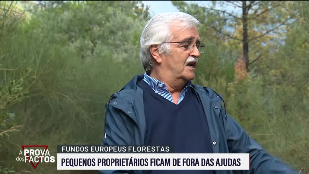 Imagem de A Prova dos Factos