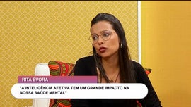 Imagem de Inteligncia Afetiva e Desenvolvimento Humano