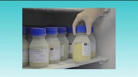 Imagem de Leite Materno: A Importncia Para o Beb