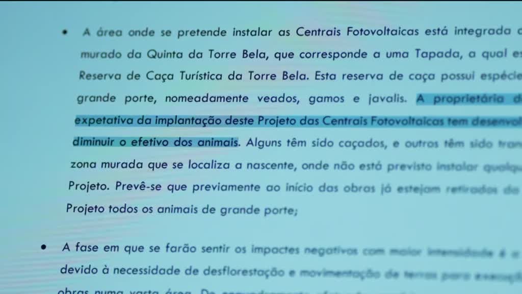 Imagem de Linha da Frente - Floresta de Vidro