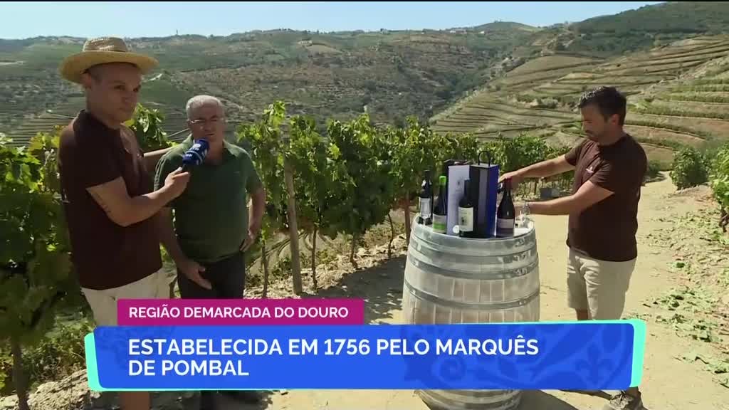 Imagem de Aqui Portugal - São João da Pesqueira