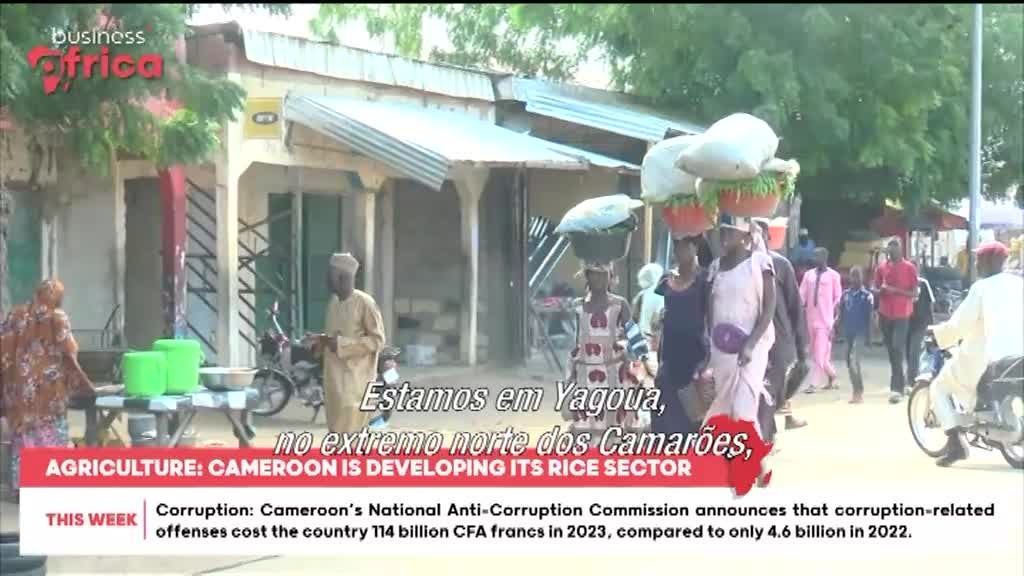 Imagem de Negócios em África - Cheias / Cozinha Limpa em África? / Nova Refinaria