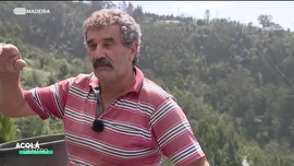 Imagem de Acol Dentro