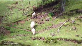 Imagem de Acol Dentro