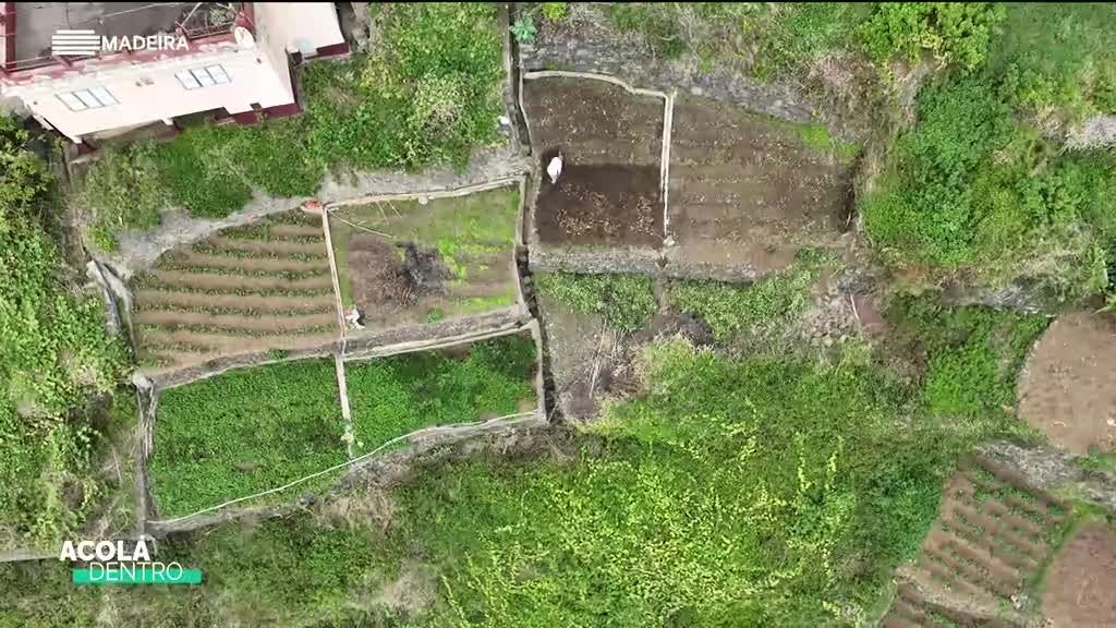 Imagem de Acolá Dentro