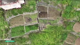 Imagem de Acol Dentro