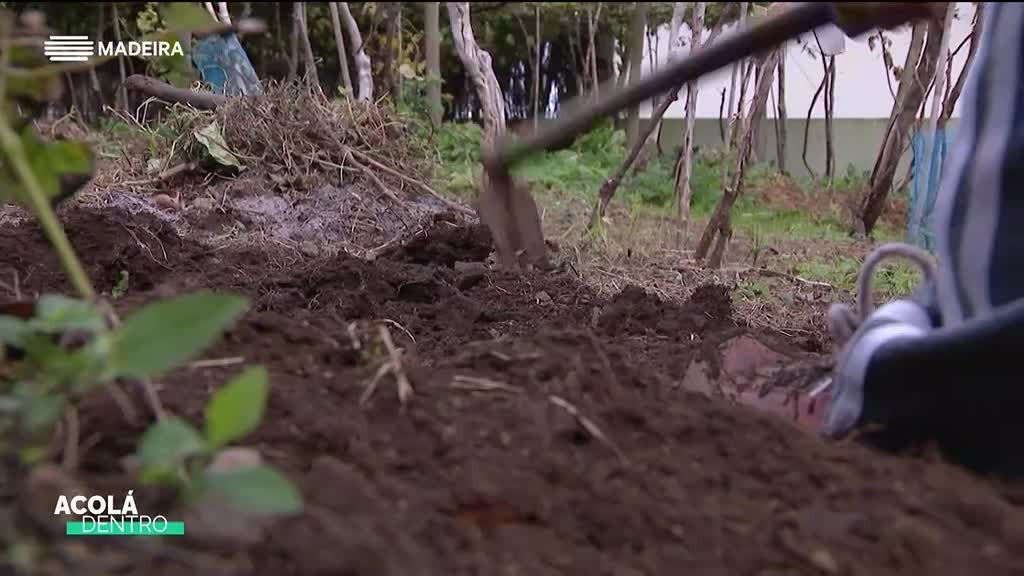 Imagem de Acolá Dentro