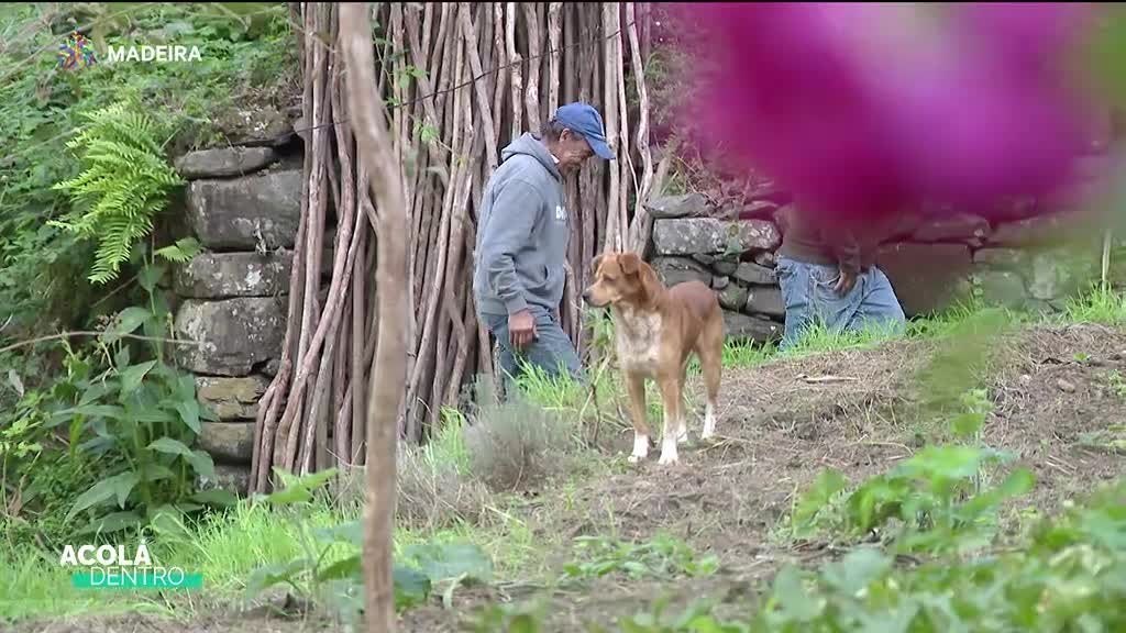 Imagem de Acolá Dentro