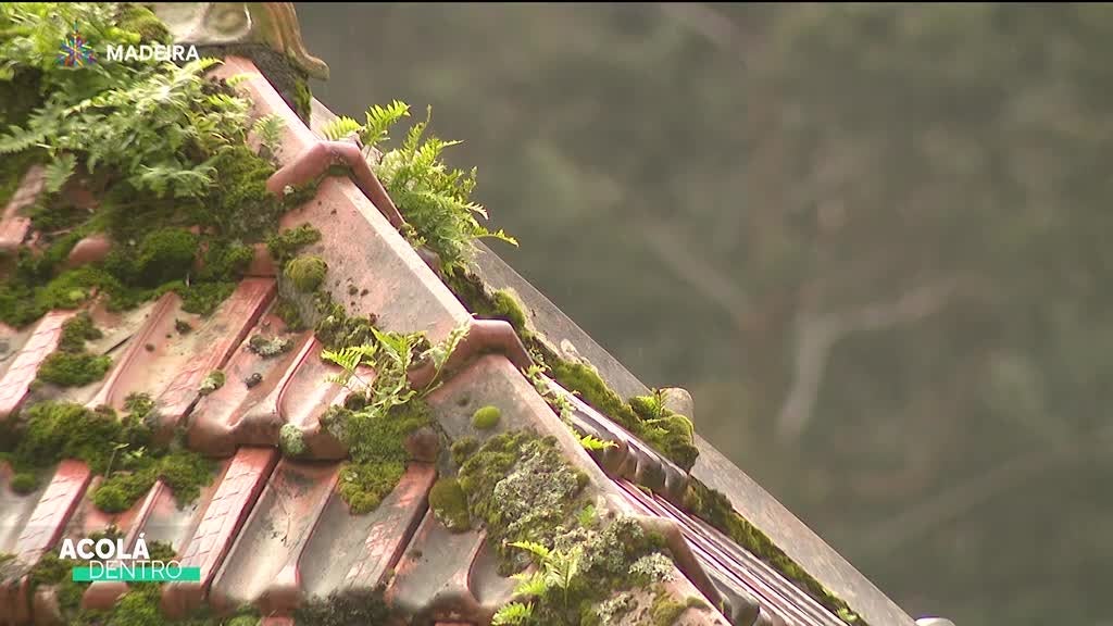 Imagem de Acolá Dentro