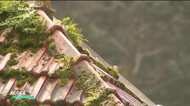 Imagem de Acol� Dentro