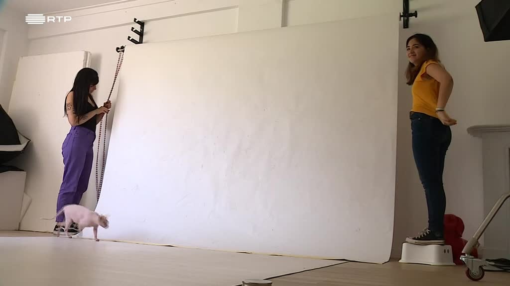 Imagem de Outras Histórias - Amanda e os Patudos; O Meu Nome é Igual ao Teu