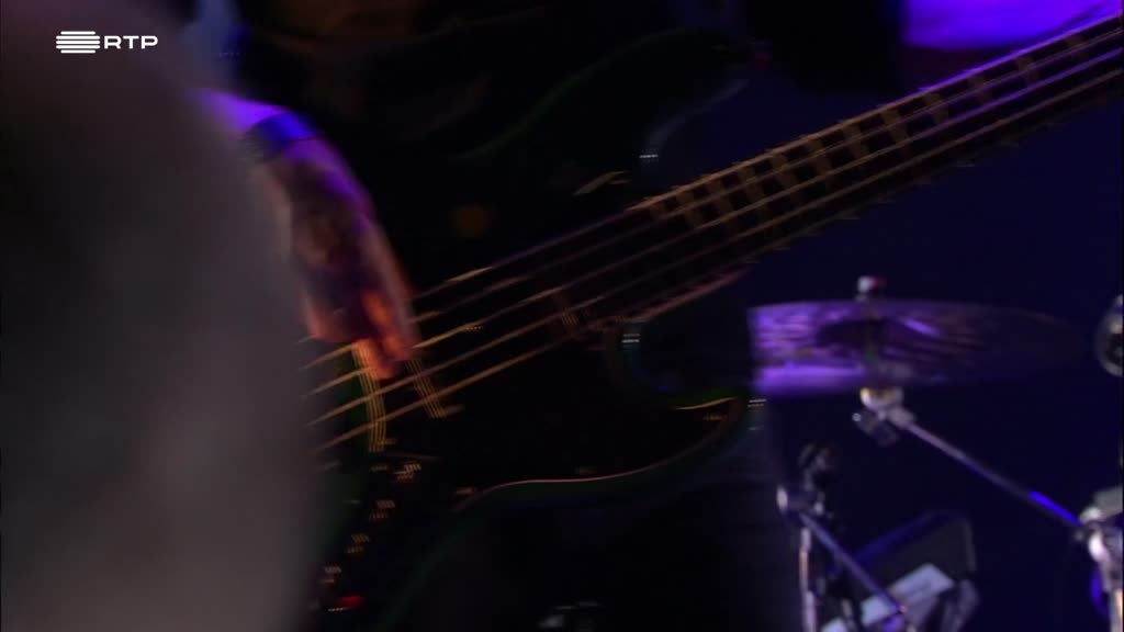 Imagem de Elisa em Concerto