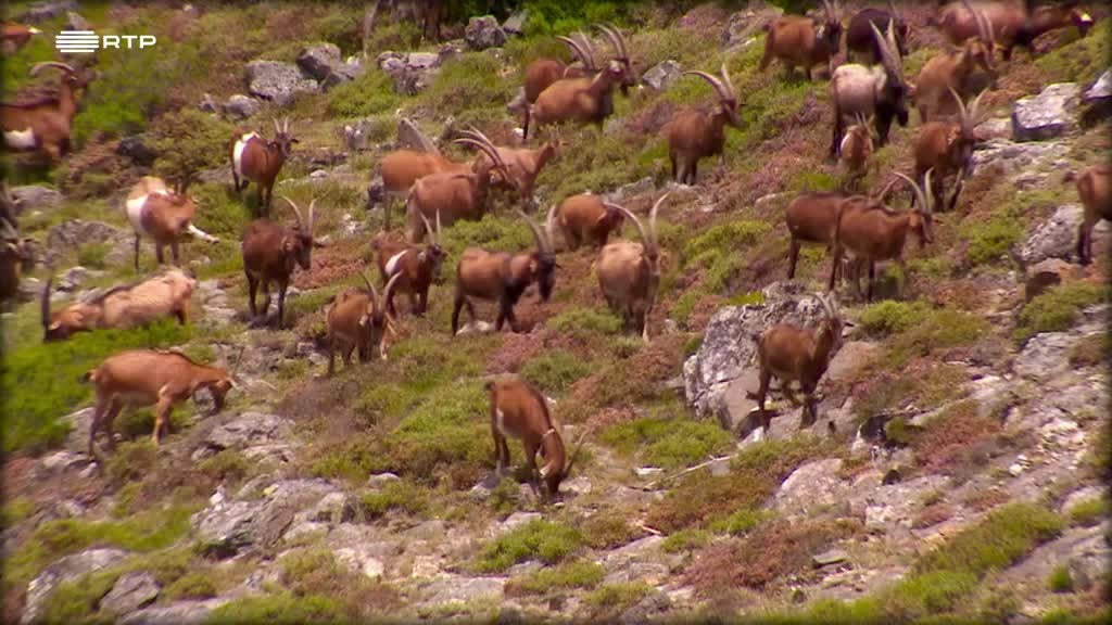 Imagem de Pontos & Cardeais 2021 - Ribeira de Pena