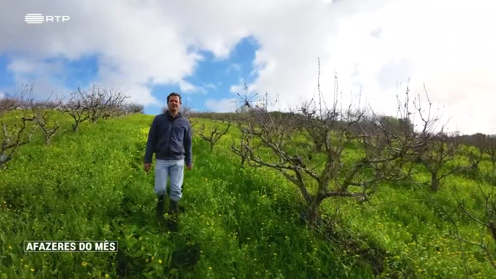 Imagem de Afazeres do Mês