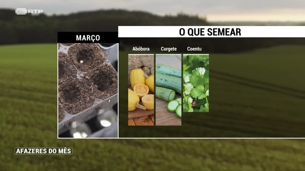 Imagem de Afazeres do Mês