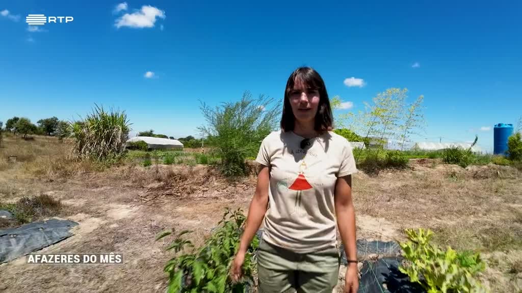 Imagem de Afazeres do Mês