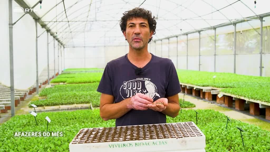 Imagem de Afazeres do Mês