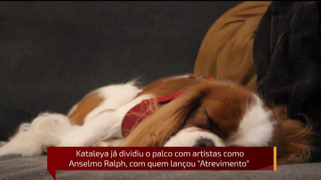 Imagem de Músicas d´África - Kataleya