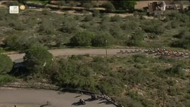 Imagem de Ciclismo: Volta ao Algarve 2024