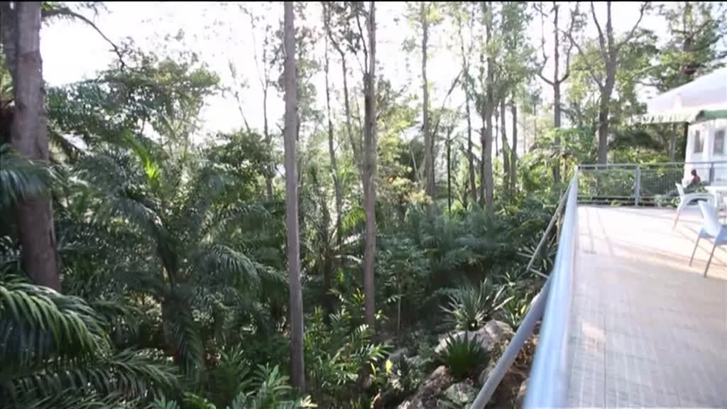 Imagem de Escapadelas em Angola - Barra do Kwanza - Mangais Resort