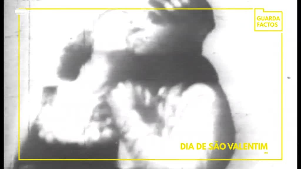 Imagem de Guarda-Factos Micro