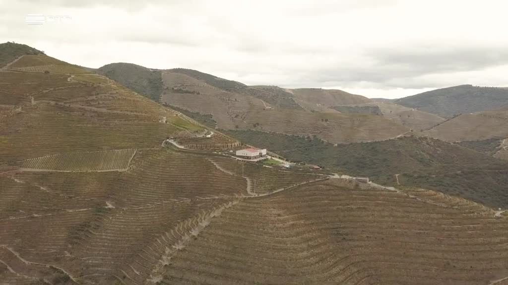 Imagem de A Essência