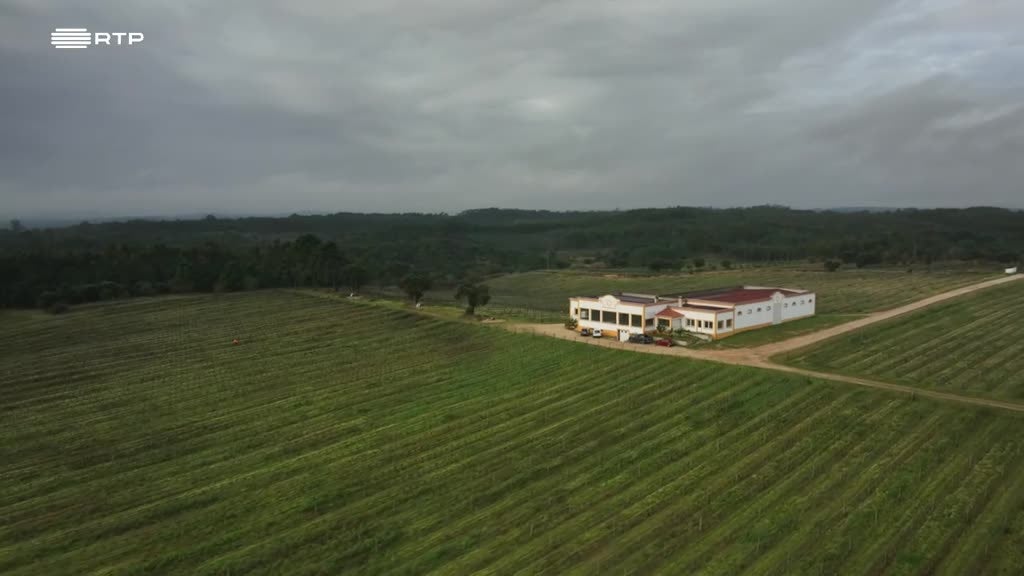 Imagem de A Essência