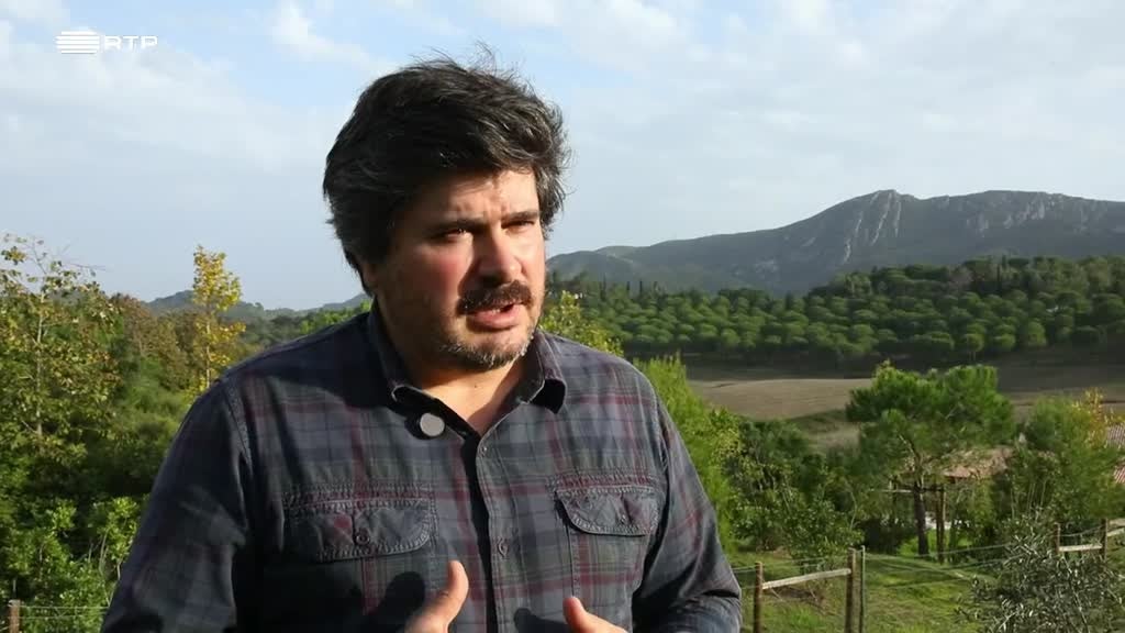 Imagem de A Essência