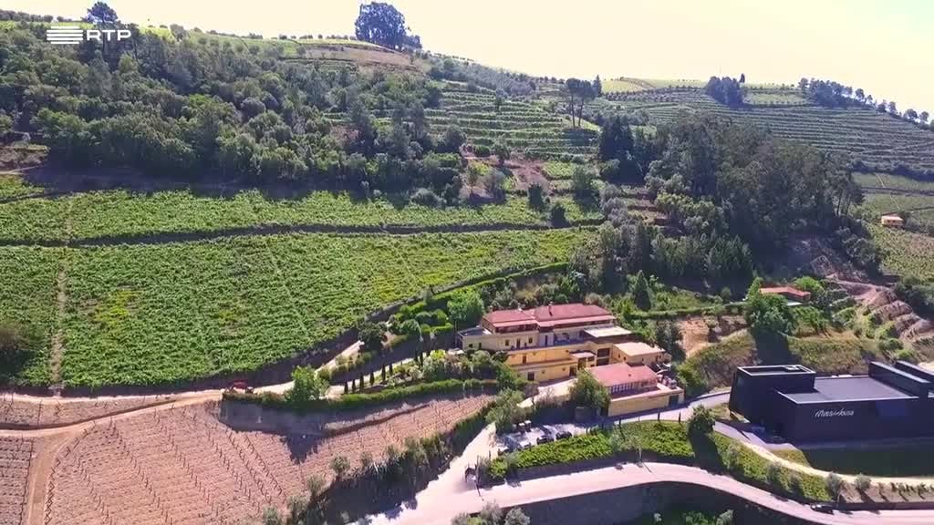 Imagem de A Essência