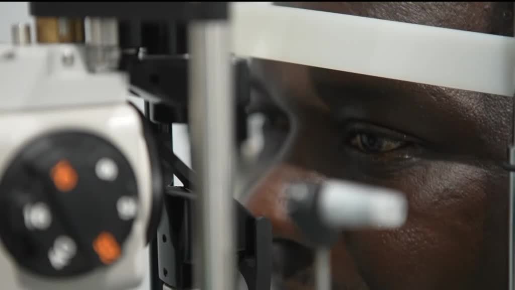 Imagem de Pérolas do Oceano - Empreendedores na Saúde e no Desporto