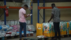 Imagem de Nichos de Mercado que Surpreendem em África