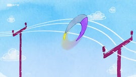 Imagem de Pinguim Voador