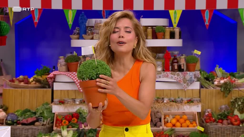 Imagem de Chefs da Nossa Terra