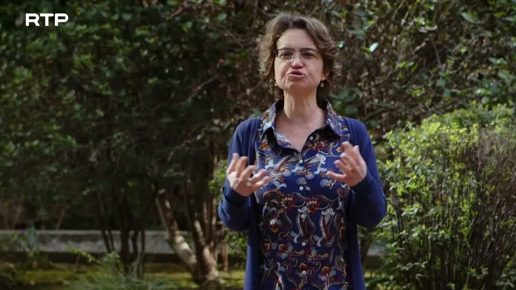 Imagem de Minuto Energia