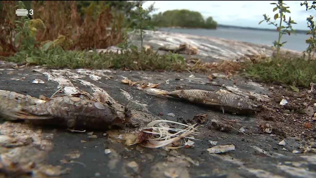 Imagem de Do Algarve à Lapónia - Suécia 